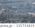 スカイツリーから見た上野の森 135733819