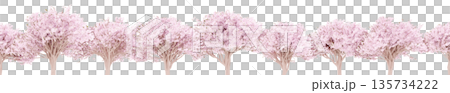 櫻花樹 - 無盡櫻花系列 - 請將它們連接起來，用作背景等。 135734222