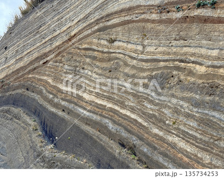 伊豆大島の道路沿いに露出した褶曲した地層の断面 135734253