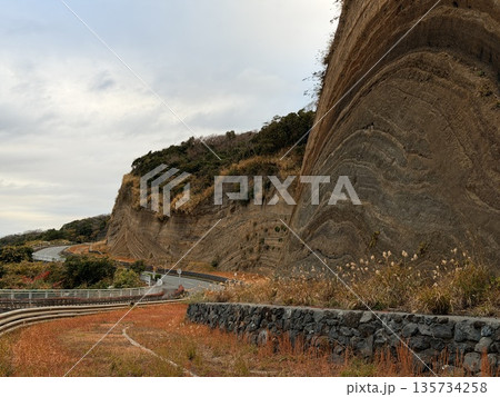 伊豆大島の道路沿いに露出した褶曲した地層の断面 伊豆大島の道路沿いに露出した褶曲した地層の断面 135734258