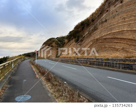 伊豆大島の道路沿いに露出した褶曲した地層の断面 伊豆大島の道路沿いに露出した褶曲した地層の断面 135734263