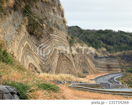伊豆大島の道路沿いに露出した褶曲した地層の断面 伊豆大島の道路沿いに露出した褶曲した地層の断面 135734269