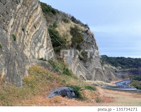 伊豆大島の道路沿いに露出した褶曲した地層の断面 135734271
