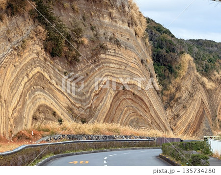 伊豆大島の道路沿いに露出した褶曲した地層の断面 135734280