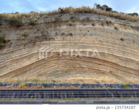 伊豆大島の道路沿いに露出した褶曲した地層の断面 135734287
