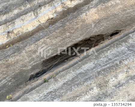 伊豆大島の道路沿いに露出した褶曲した地層の断面 135734294