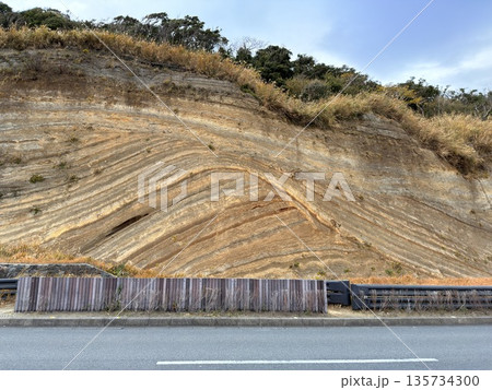 伊豆大島の道路沿いに露出した褶曲した地層の断面 135734300