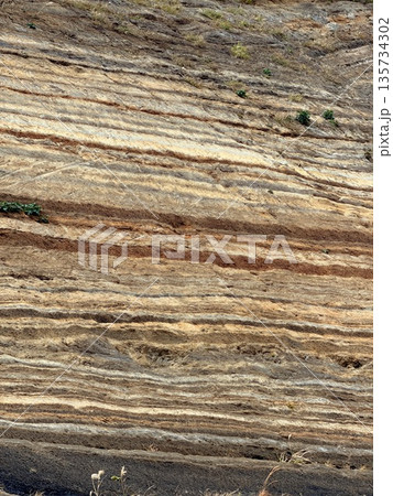 伊豆大島の道路沿いに露出した褶曲した地層の断面 伊豆大島の道路沿いに露出した褶曲した地層の断面 135734302