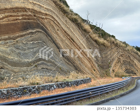 伊豆大島の道路沿いに露出した褶曲した地層の断面 伊豆大島の道路沿いに露出した褶曲した地層の断面 135734303