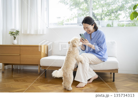 スマートフォンで愛犬の写真を撮るミドルの女性 犬との暮らし イメージ スマートフォンで愛犬の写真を撮るミドルの女性 犬との暮らし イメージ 135734313