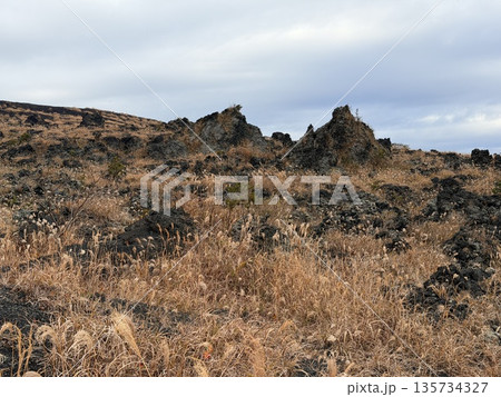 伊豆大島・三原山でトレッキング中に見られる噴気を伴う火口の風景 伊豆大島・三原山でトレッキング中に見られる噴気を伴う火口の風景 135734327