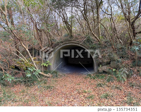 伊豆大島・三原山でトレッキング中に見られる噴気を伴う火口の風景 135734351