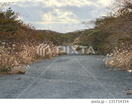 伊豆大島・三原山でトレッキング中に見られる噴気を伴う火口の風景 135734354