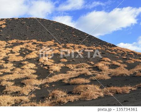 伊豆大島・三原山でトレッキング中に見られる噴気を伴う火口の風景 135734361