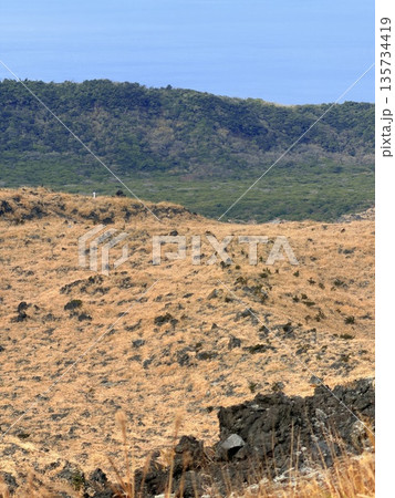 伊豆大島・三原山でトレッキング中に見られる噴気を伴う火口の風景 135734419