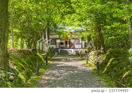 京都 新緑に包まれた地蔵院(竹寺) 本堂 京都 新緑に包まれた地蔵院(竹寺) 本堂 135734497