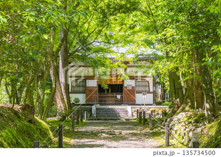 京都　新緑に包まれた地蔵院（竹寺）　本堂 135734500