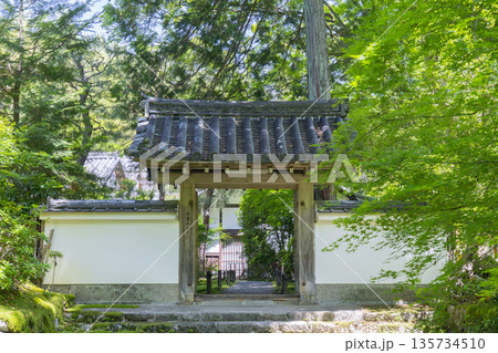 京都 新緑に包まれた地蔵院(竹寺) 中門 京都 新緑に包まれた地蔵院(竹寺) 中門 135734510