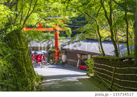 嵯峨鳥居本　愛宕神社　一の鳥居 135734517