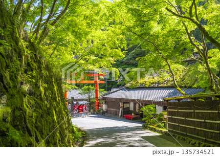 嵯峨鳥居本 愛宕神社 一の鳥居 嵯峨鳥居本 愛宕神社 一の鳥居 135734521
