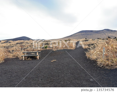 伊豆大島の三原山に広がる裏砂漠の火山性荒野風景 135734576