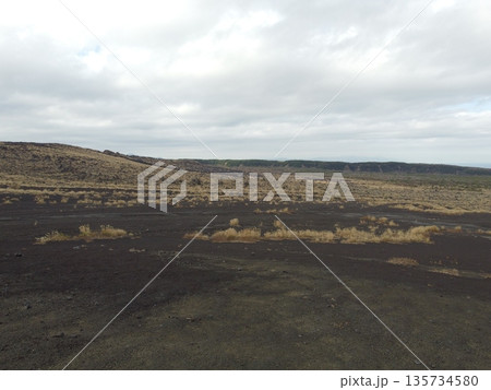 伊豆大島の三原山に広がる裏砂漠の火山性荒野風景 135734580