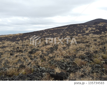 伊豆大島の三原山に広がる裏砂漠の火山性荒野風景 135734583
