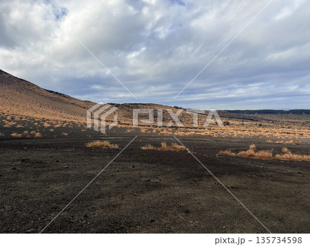 伊豆大島の三原山に広がる裏砂漠の火山性荒野風景 伊豆大島の三原山に広がる裏砂漠の火山性荒野風景 135734598