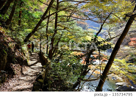 三段峡遊歩道の景色 135734795