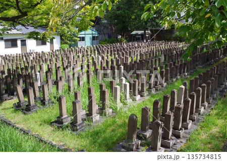 真田山陸軍墓地の景色 135734815
