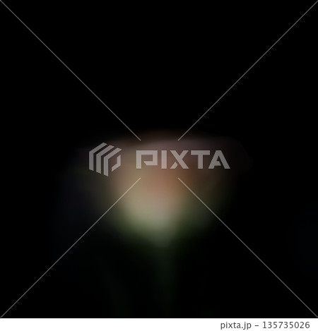 暗闇に浮かぶピンク色の薔薇が左右に動く抽象的表現 135735026