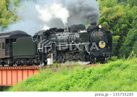 SLやまぐち号 D51 6022 SLやまぐち号 D51 6022 135735285