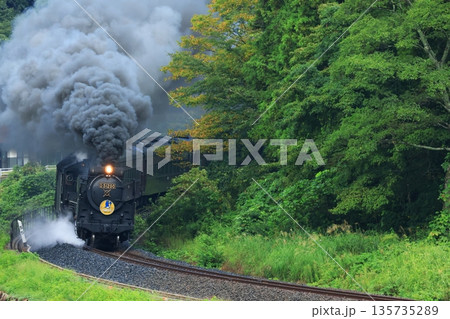 SLやまぐち号　D51   6189 135735289
