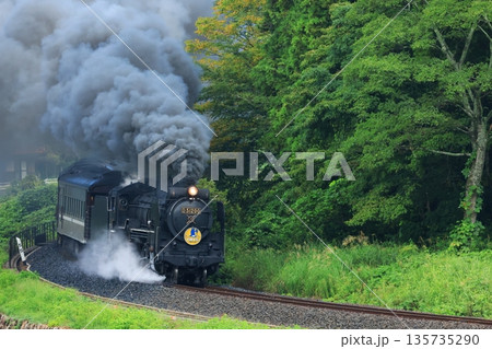SLやまぐち号 D51 6205 SLやまぐち号 D51 6205 135735290