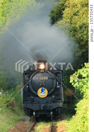 SLやまぐち号　D51  6301 135735433