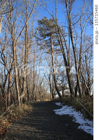 登山道 135735460