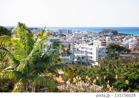 沖縄の街風景(糸満市) 沖縄の街風景(糸満市) 135736029