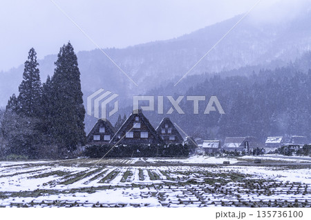 雪降る白川郷 雪降る白川郷 135736100