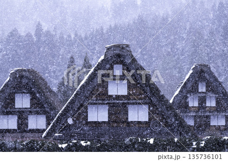 雪降る白川郷 雪降る白川郷 135736101