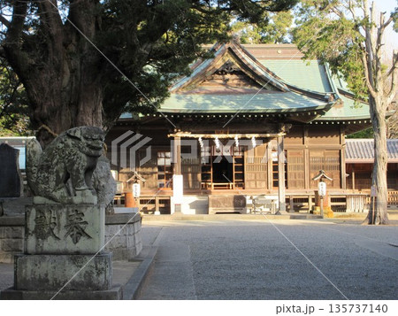 千葉県館山市!鶴谷八幡宮の拝殿 千葉県館山市!鶴谷八幡宮の拝殿 135737140