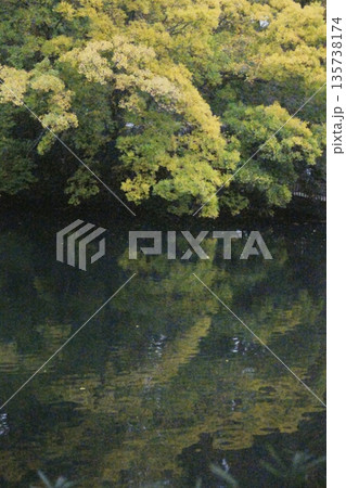 井の頭公園 135738174