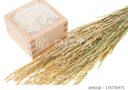 稲穂と一合升に入れた白米 稲穂と一合升に入れた白米 135738471
