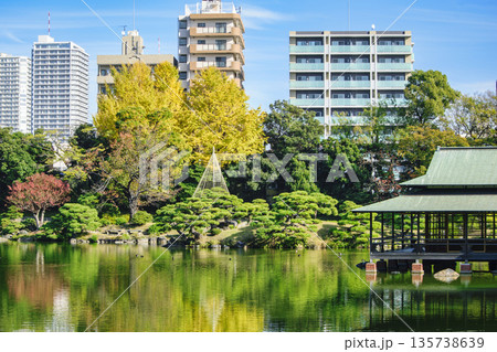 東京都　江東区　清澄庭園　大泉水　涼亭と中の島　秋の風景　都指定名勝 135738639