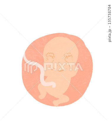 かわいい胎児イラスト かわいい胎児イラスト 135738784