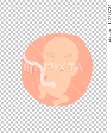 かわいい胎児イラスト かわいい胎児イラスト 135738784