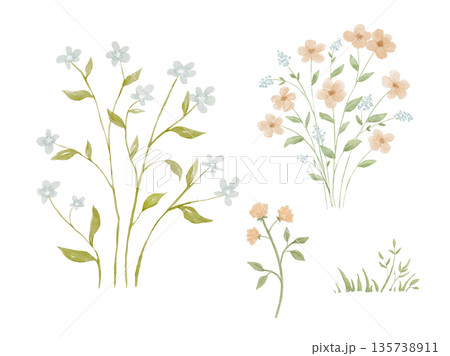 Watercolour wildflowers painting on isolated background, forest greenery in rural field. Nature elements Watercolour wildflowers painting on isolated background, forest greenery in rural field. Nature elements 135738911