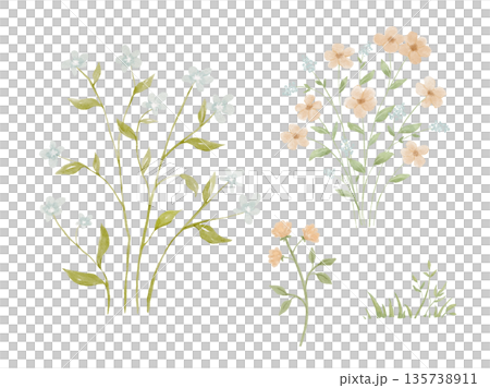 Watercolour wildflowers painting on isolated background, forest greenery in rural field. Nature elements Watercolour wildflowers painting on isolated background, forest greenery in rural field. Nature elements 135738911