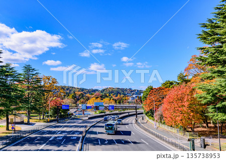 仙台 広瀬通　 秋 135738953