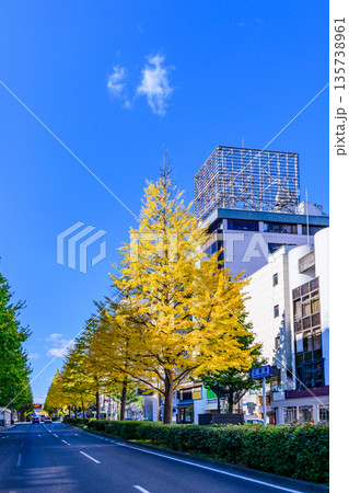 仙台 広瀬通 秋 仙台 広瀬通 秋 135738961