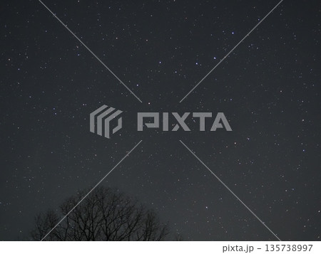 寒北斗と北極星(20260121040811) 寒北斗と北極星(20260121040811) 135738997